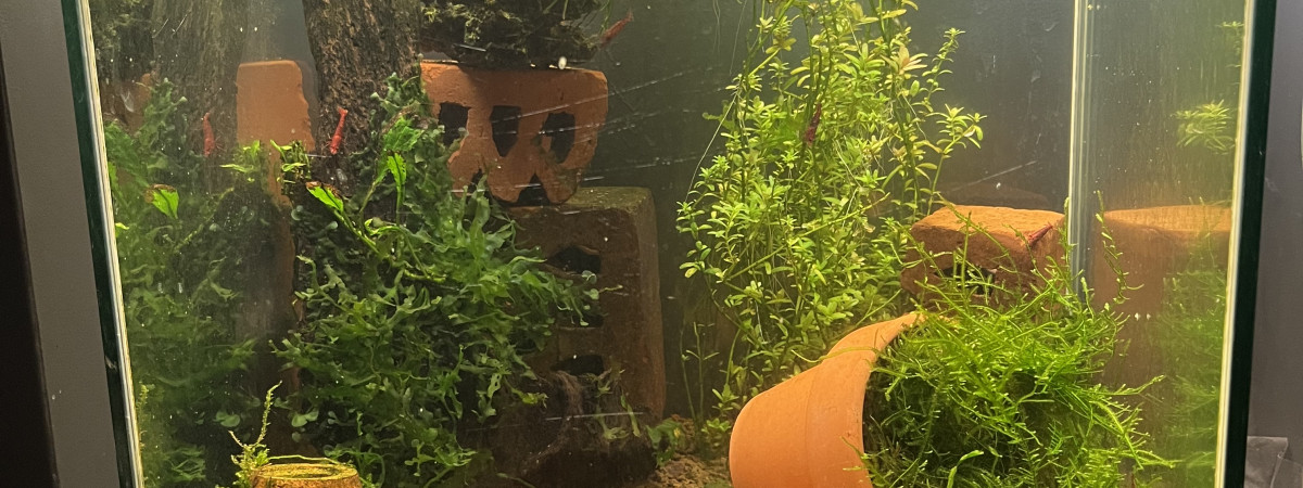 aquarium CPO