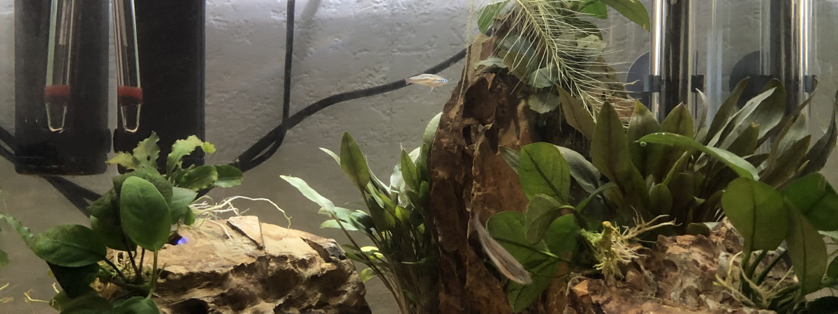 aquarium Aqua 33L