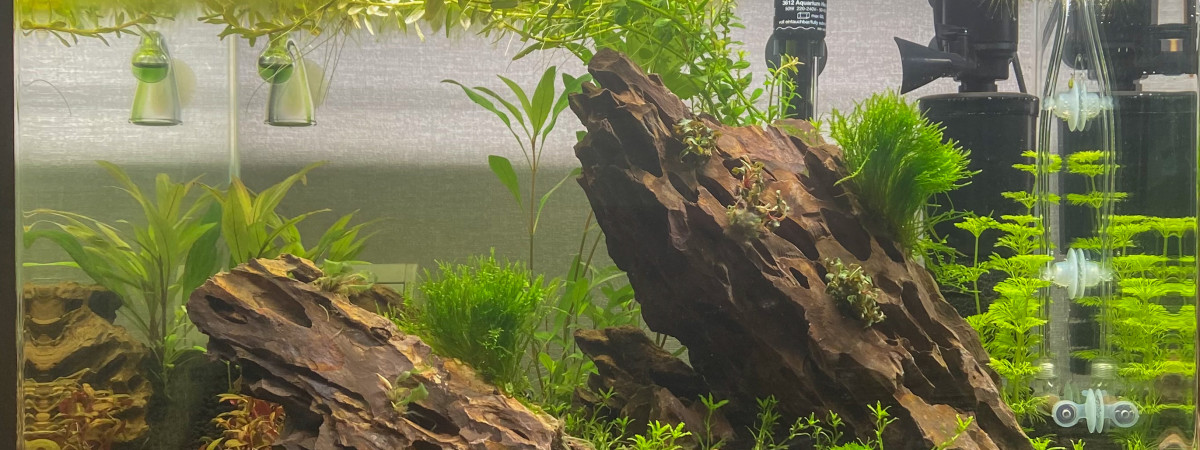 aquarium Denerle 70L