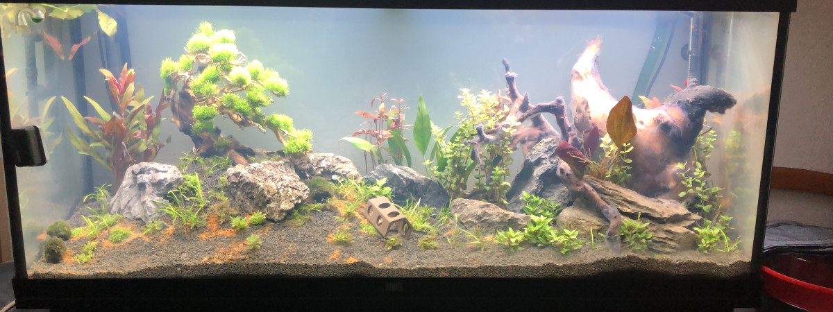 aquarium Juwel 240