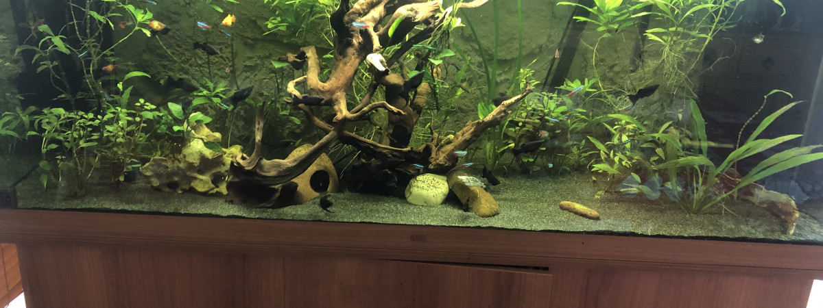aquarium Napo