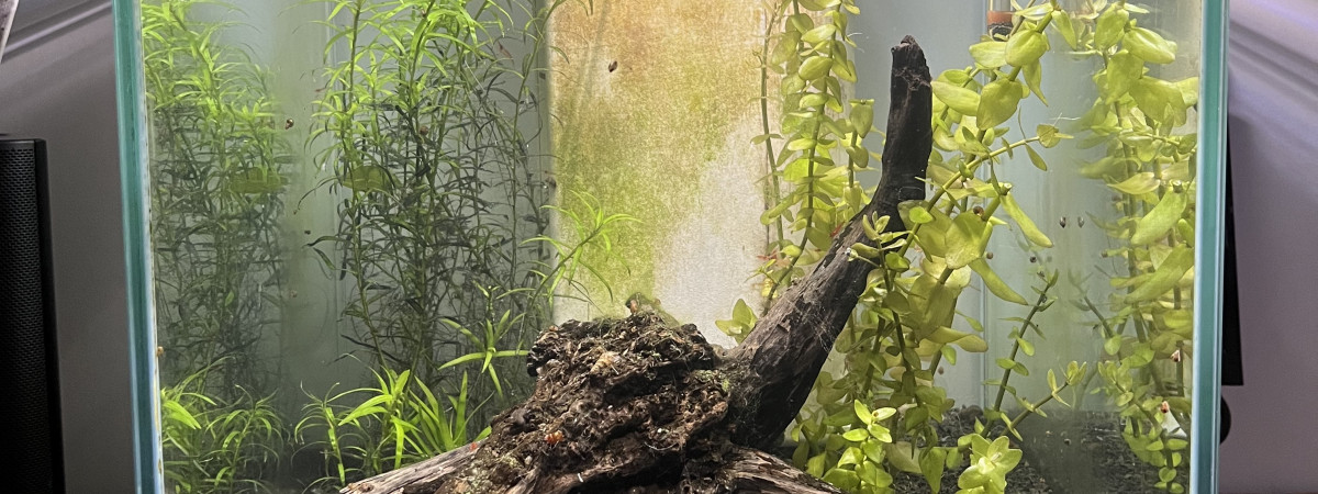 aquarium Nano 40L