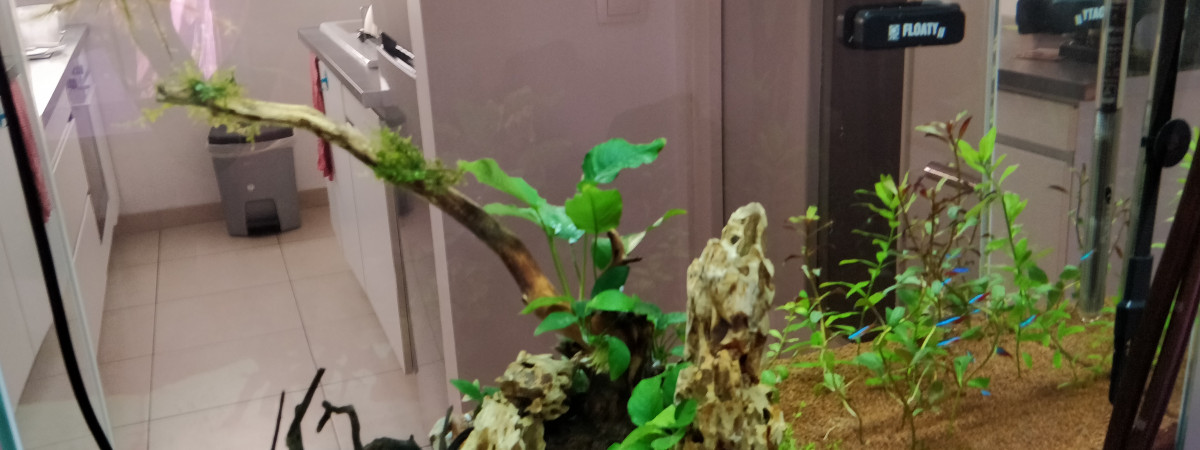 aquarium Premier bac 140L