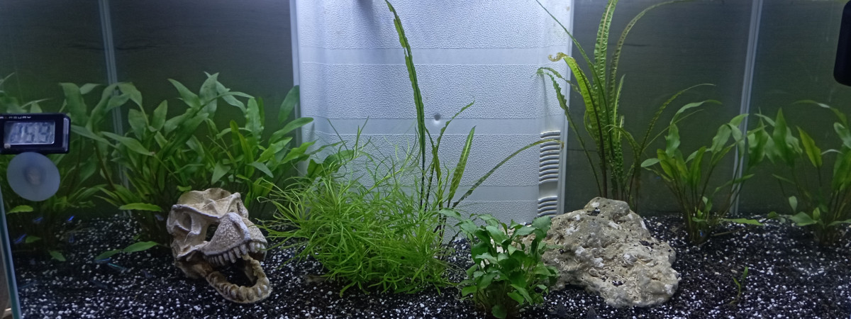 aquarium Aqua 60l maison