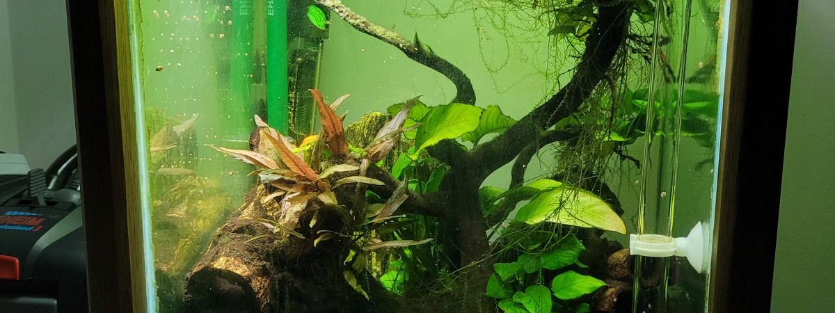 aquarium Aquarium vertical