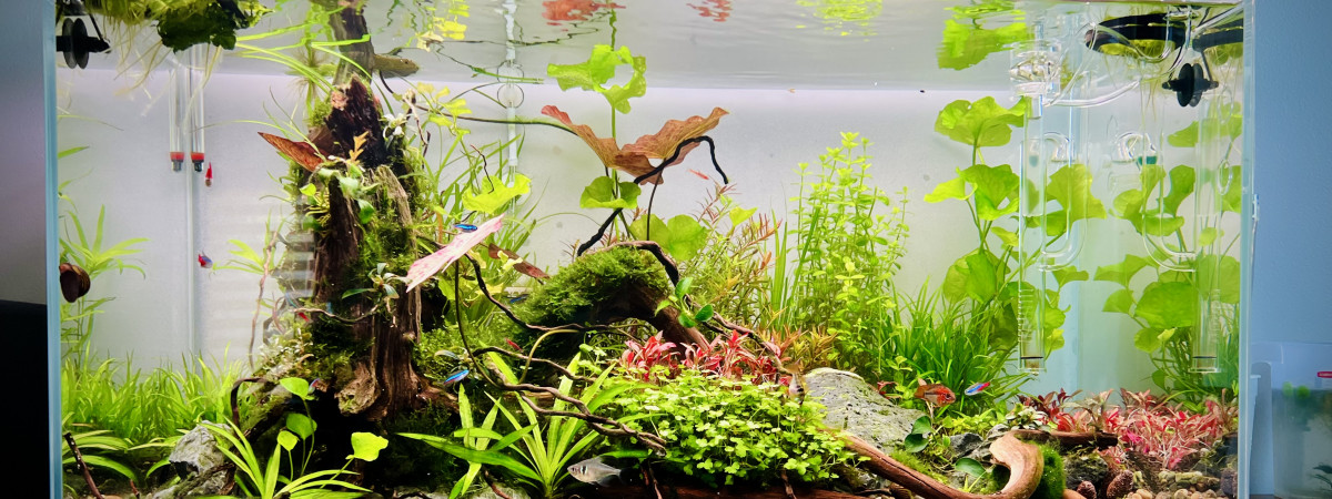 aquarium Aquael 112