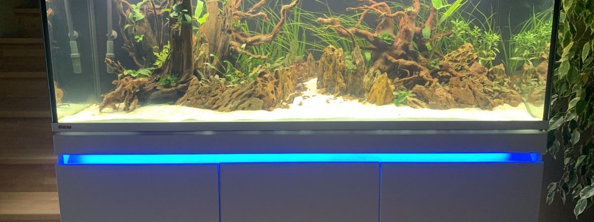 aquarium Incpiria 530