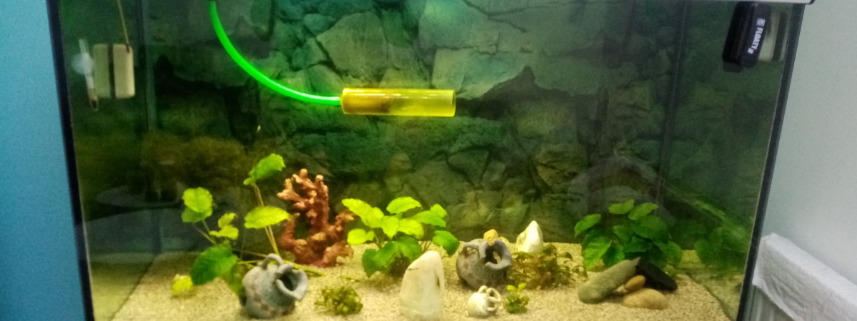 aquarium Big 1