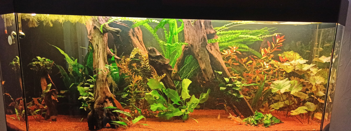aquarium 400l