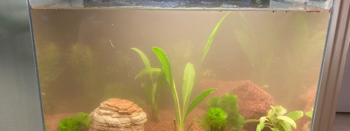 aquarium Premier 30L