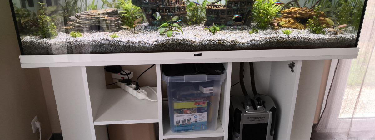 aquarium Aquarium 1