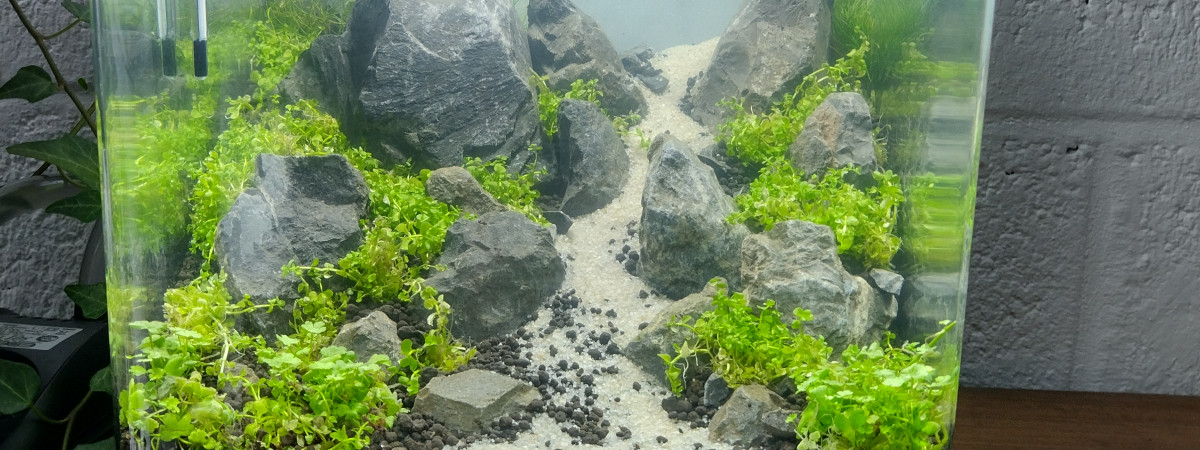 aquarium Nano Cube