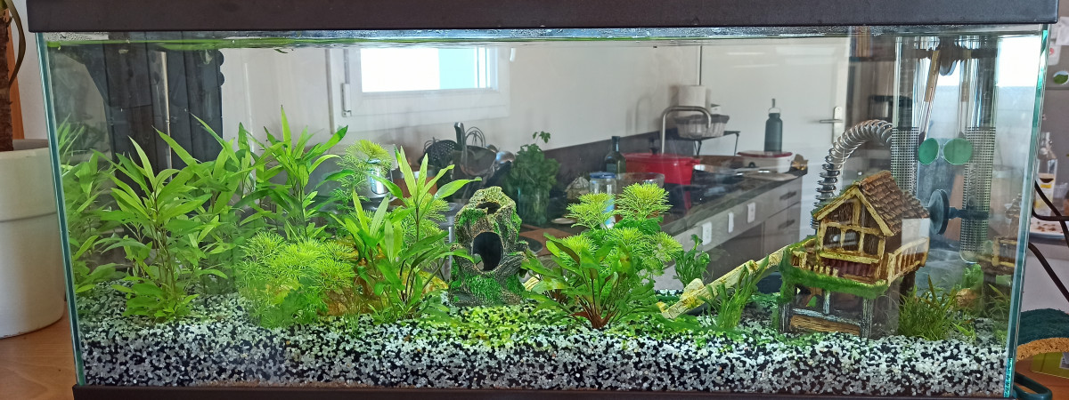 aquarium Premier test