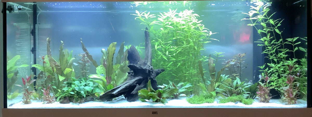 aquarium Rio 450