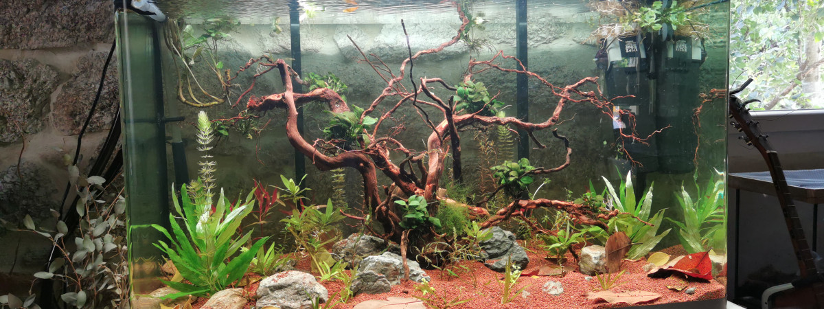 aquarium Osaka 260l