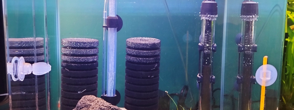 aquarium Bac à PRL