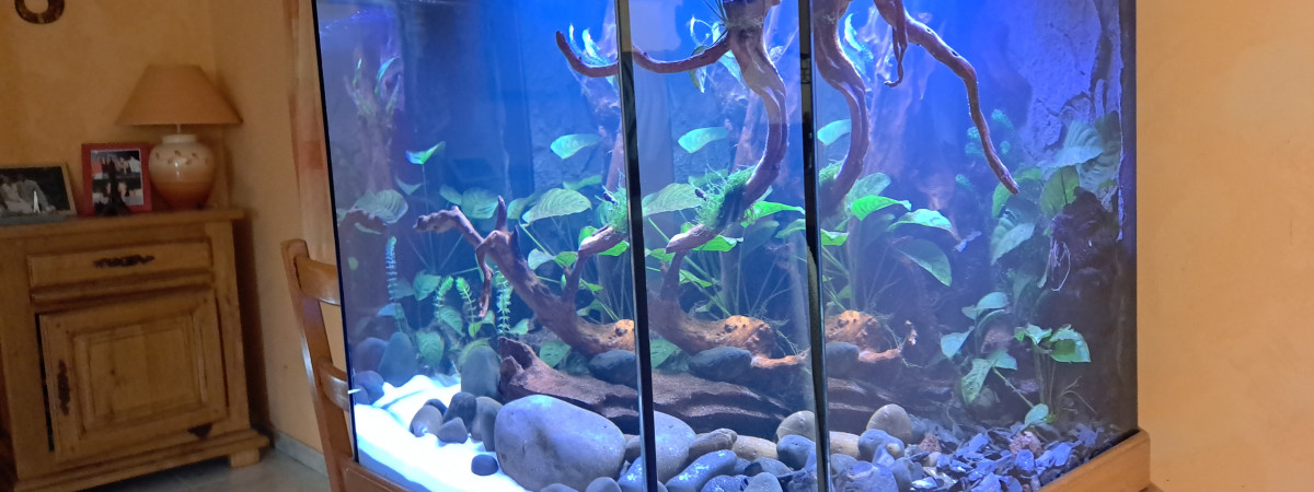 aquarium Communautaire