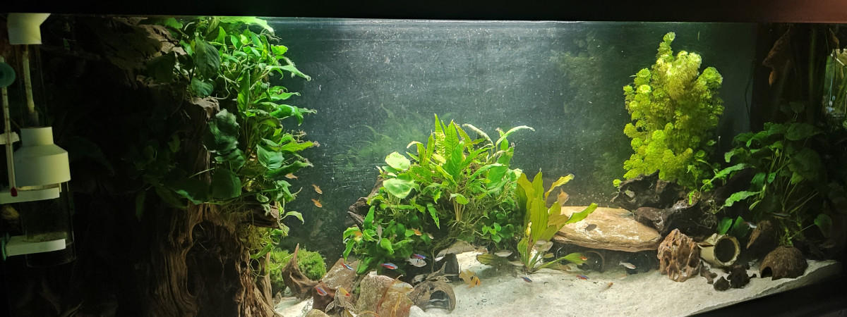 aquarium Juwel Rio 450