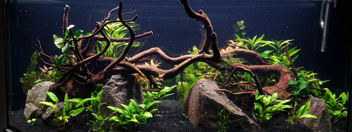aquarium aquakaldi