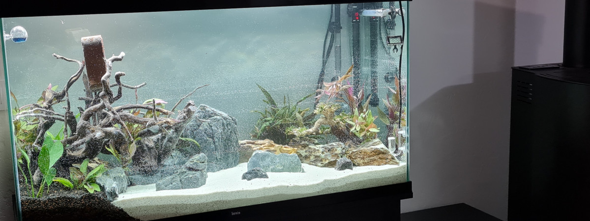 aquarium Jeremsyl