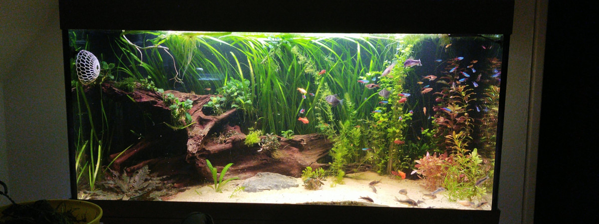 aquarium Juwel Rio 350L