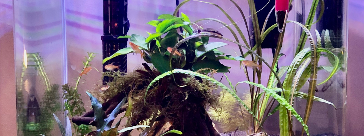 aquarium Salon 35 L