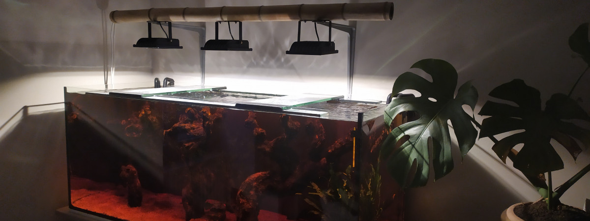aquarium Mon nouveau bac