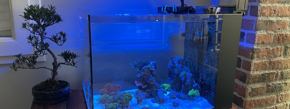aquarium Peninsula mini 25