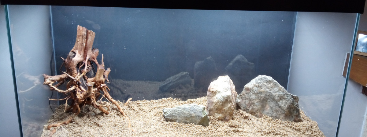 aquarium Emeraude