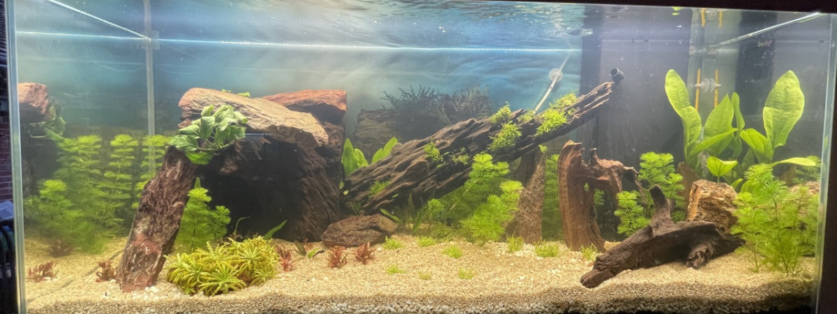 aquarium Aqua2
