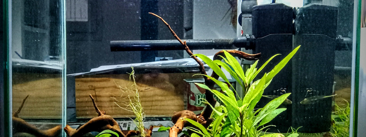 aquarium Bac 30L