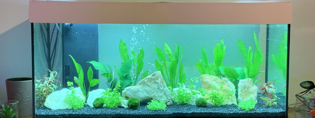 aquarium Aquarium 200 litres