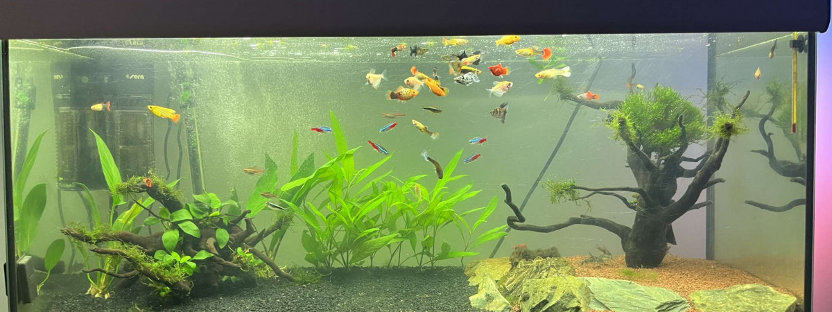 aquarium AquAL 200