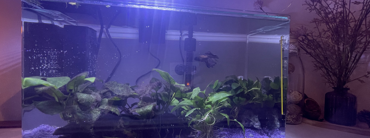 aquarium AquAL 25