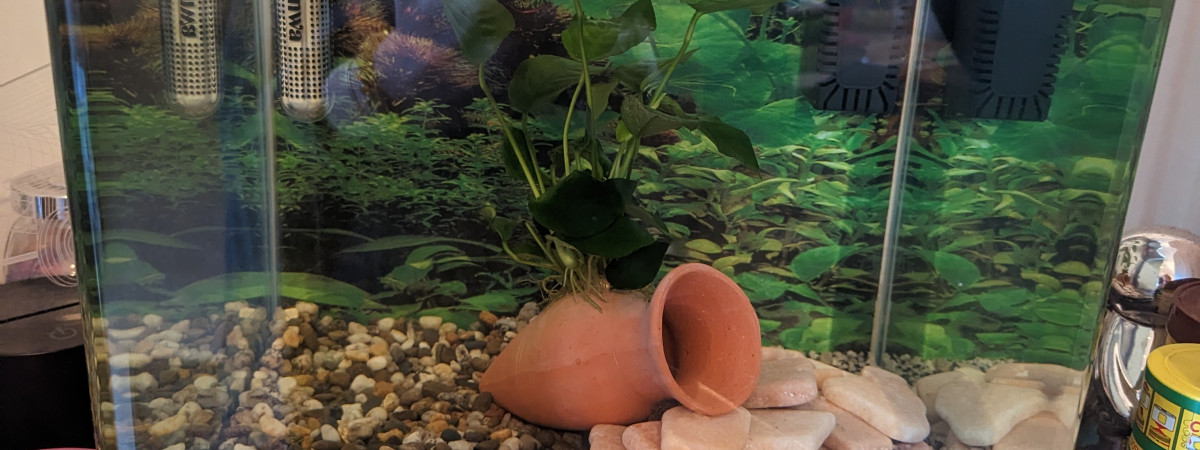 aquarium Salon