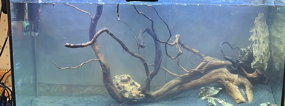 aquarium Papoys