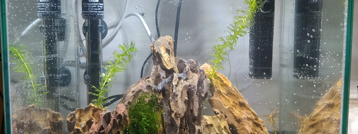 aquarium Nano1 33l