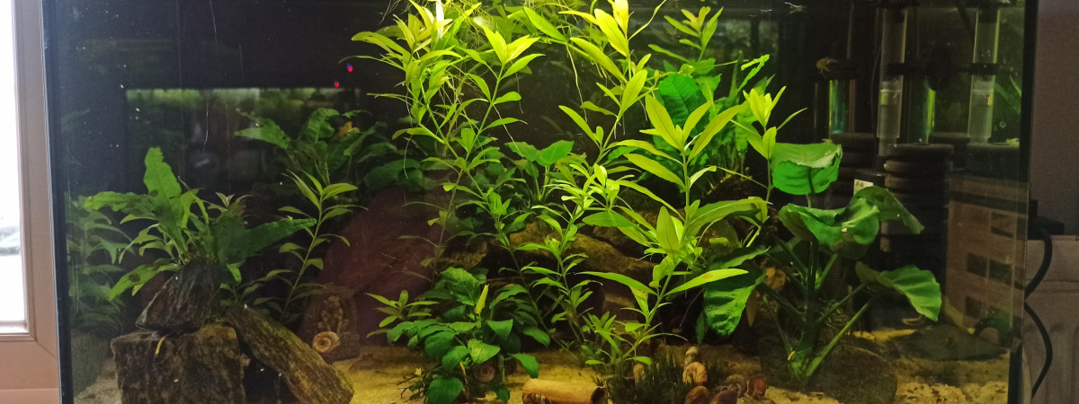 aquarium 60L Hopitel