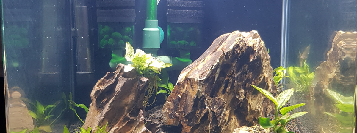 aquarium Shrimp Cube 30L