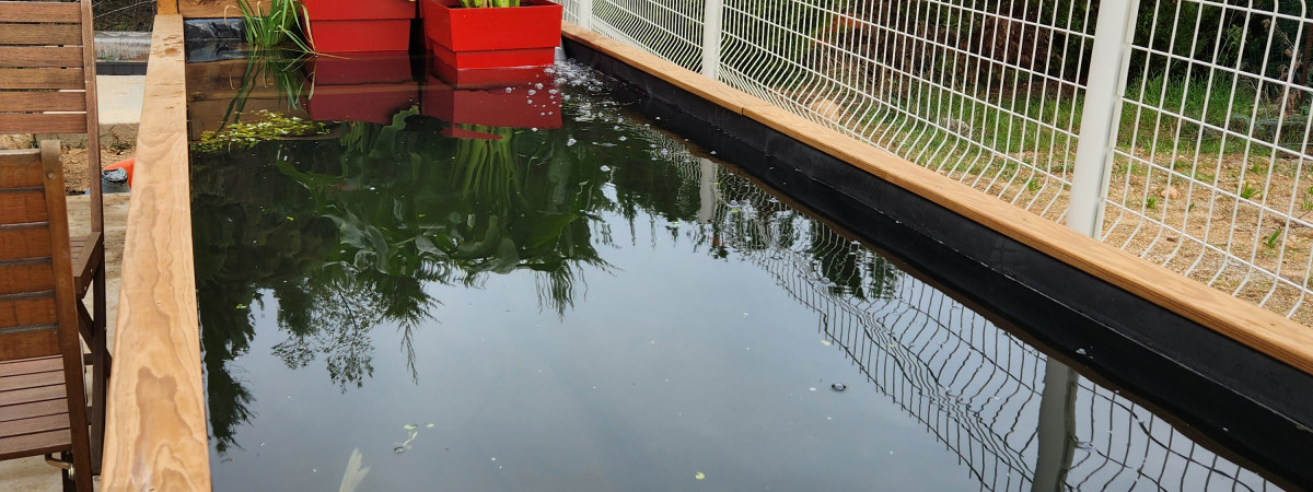 aquarium Bassin
