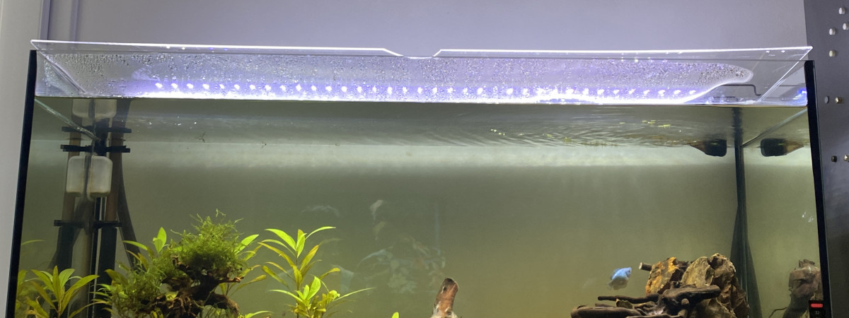 aquarium Premier 200L