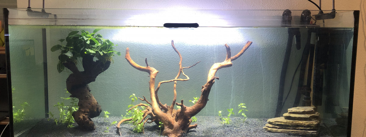 aquarium Aqua de lucas
