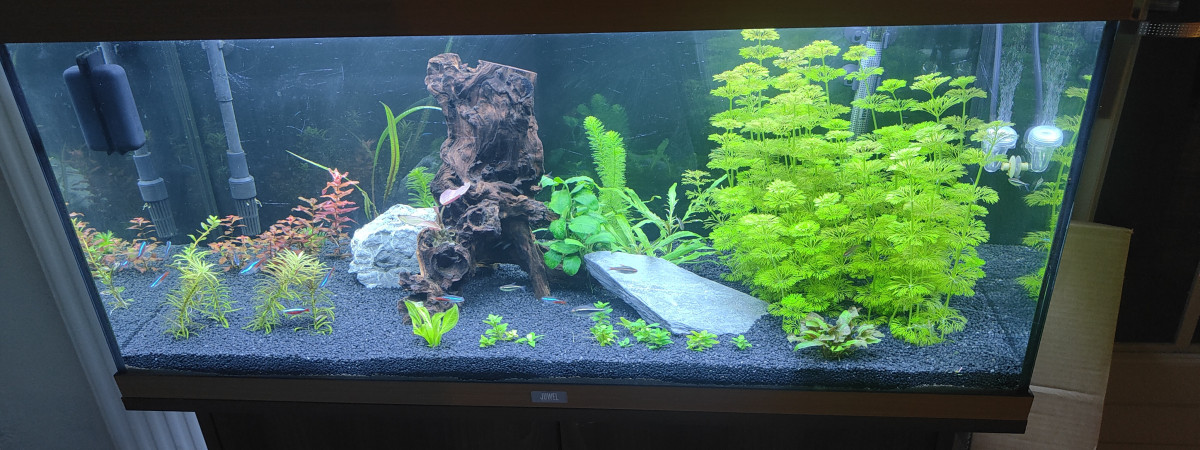 aquarium Belda