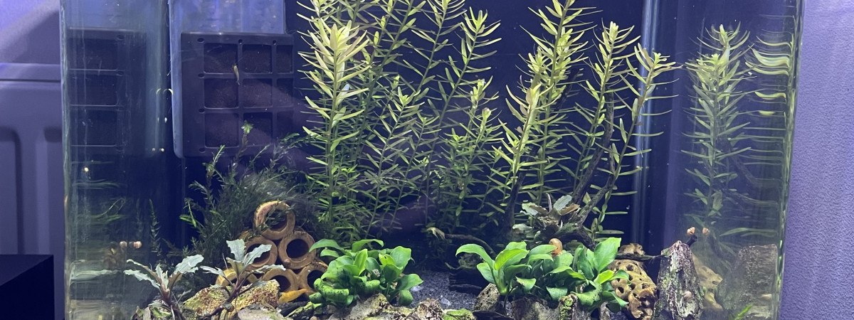 aquarium Nano 20L