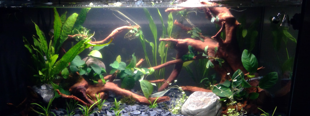 aquarium Aquarium 80 L