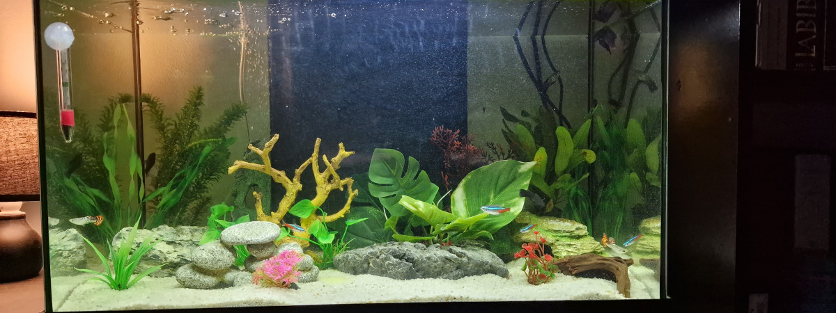 aquarium AQUA