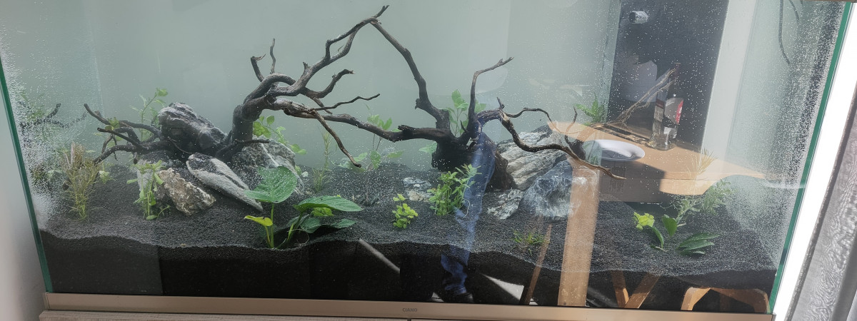 aquarium Ciano