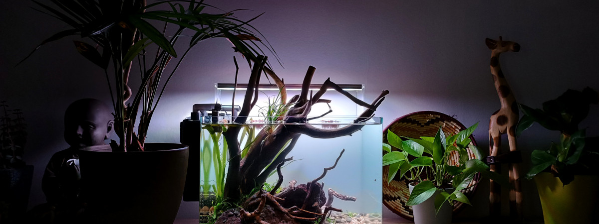 aquarium Terraqua