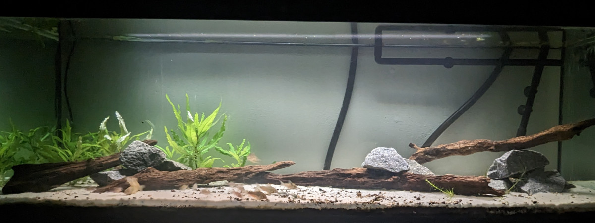 aquarium 300L