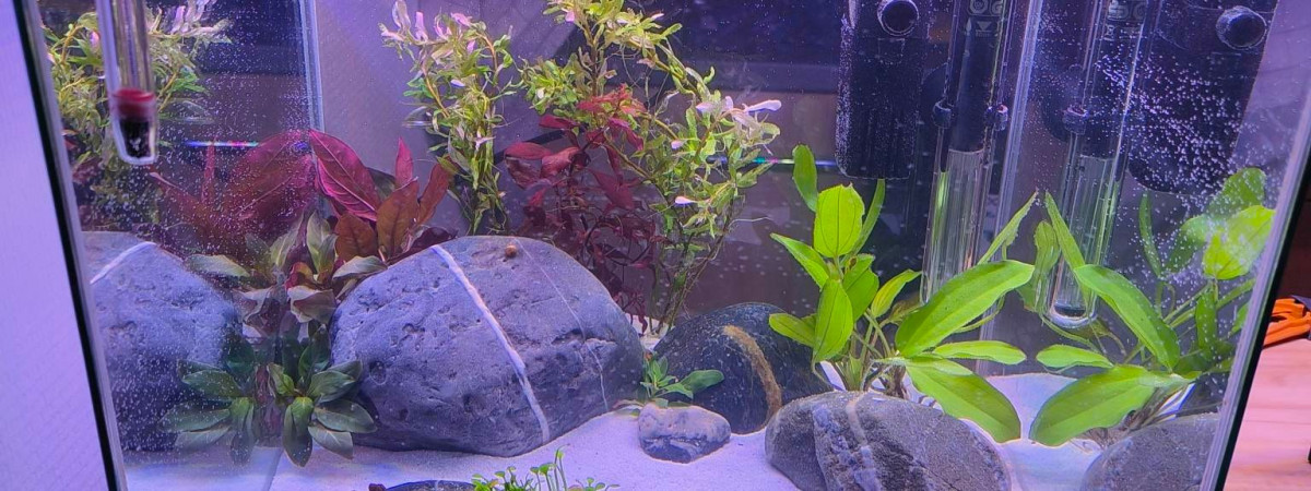 aquarium Nano
